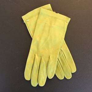 Pistachio kid leather wrist length gloves